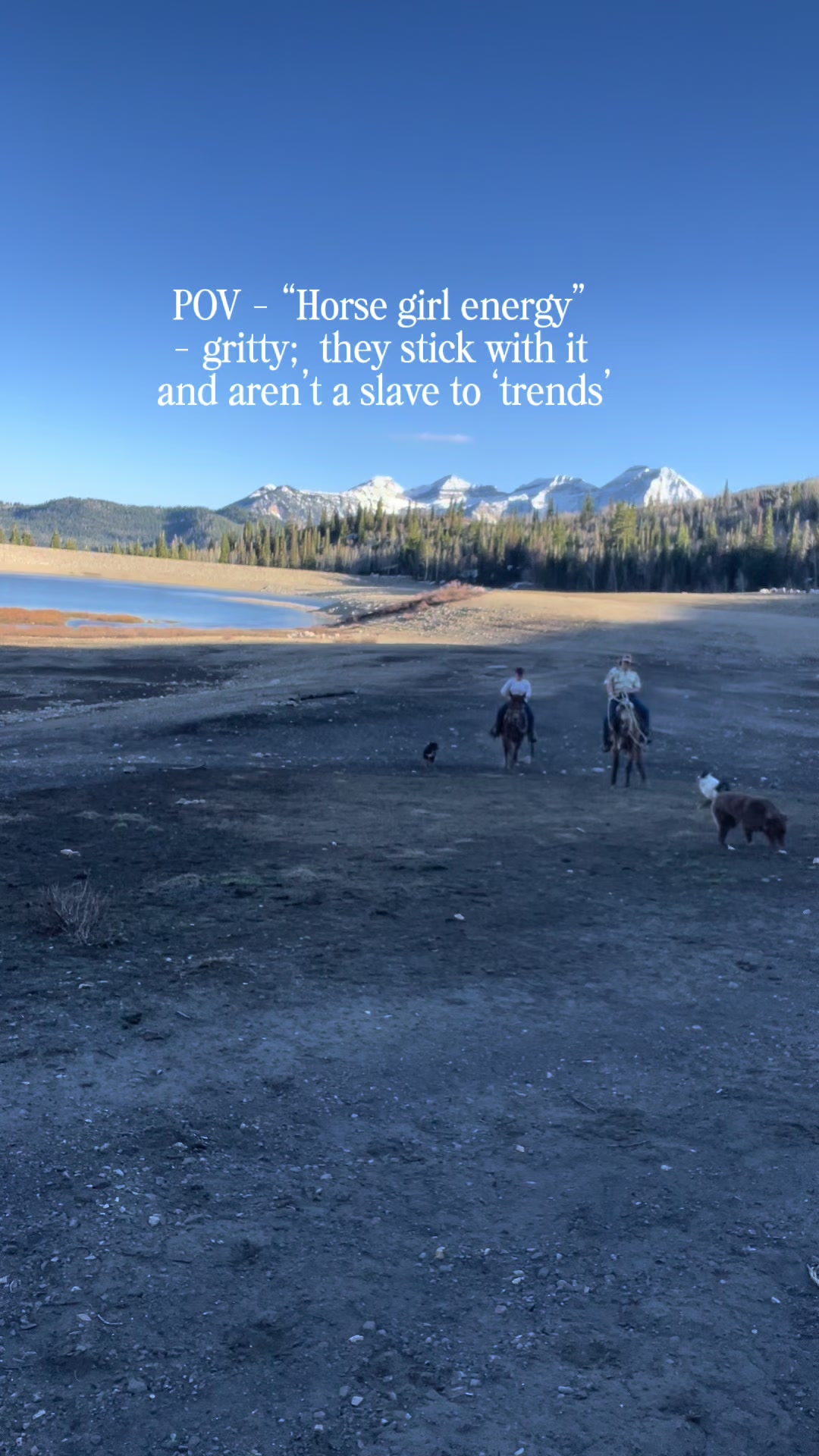 @wild.horsewoman