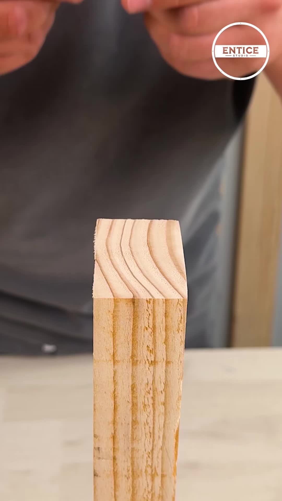 @theenticestudio