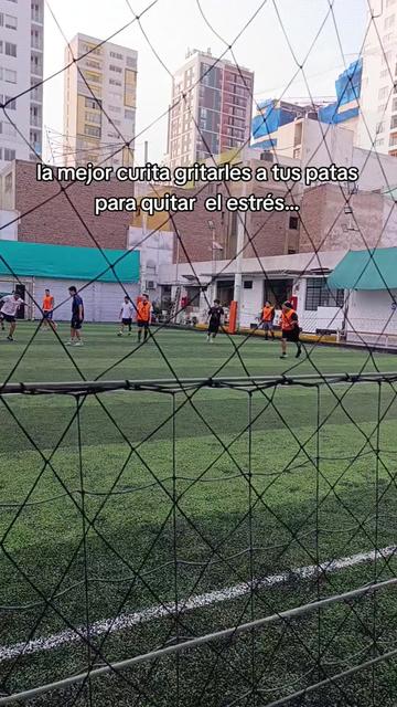 @Mary frases ❤️🩹