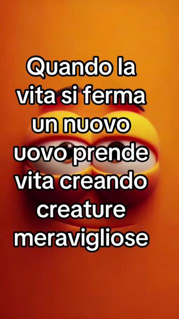 @Biscottino
