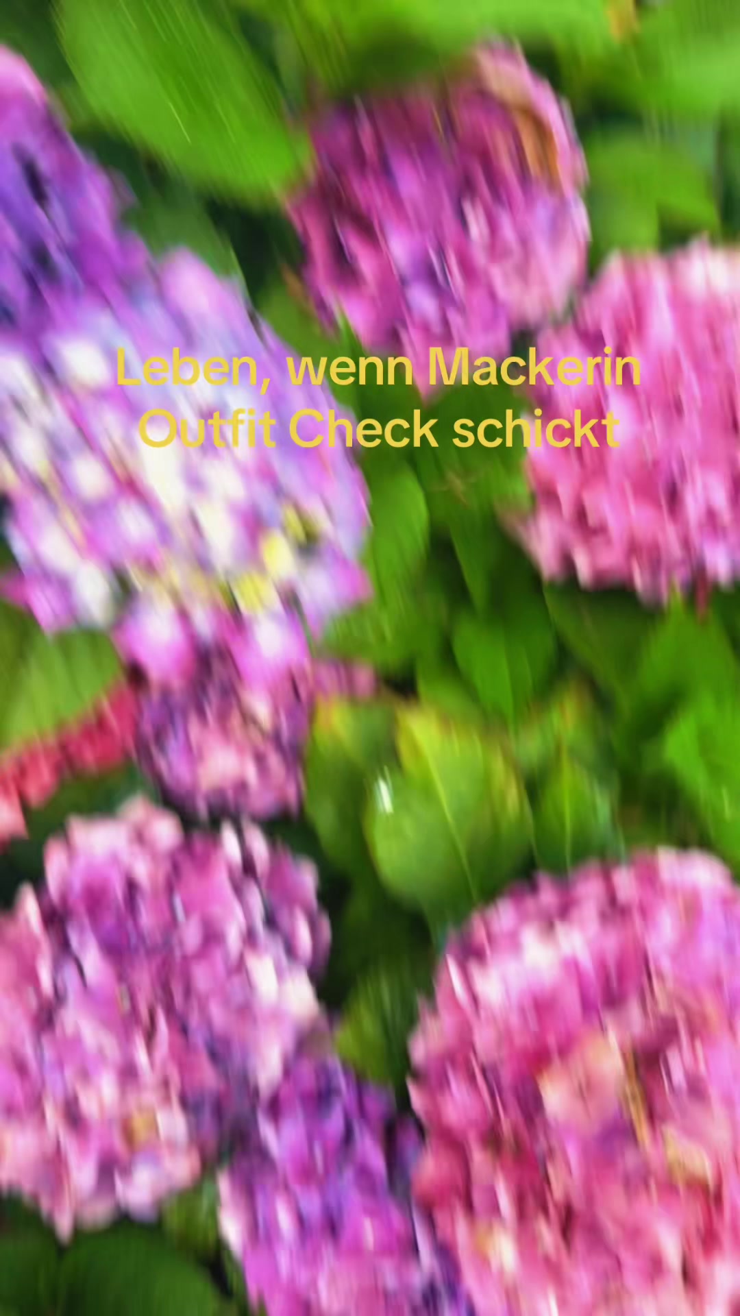 @⋆˚࿔ 𝐎𝐬𝐜𝐚𝐤𝐞𝜗𝜚˚