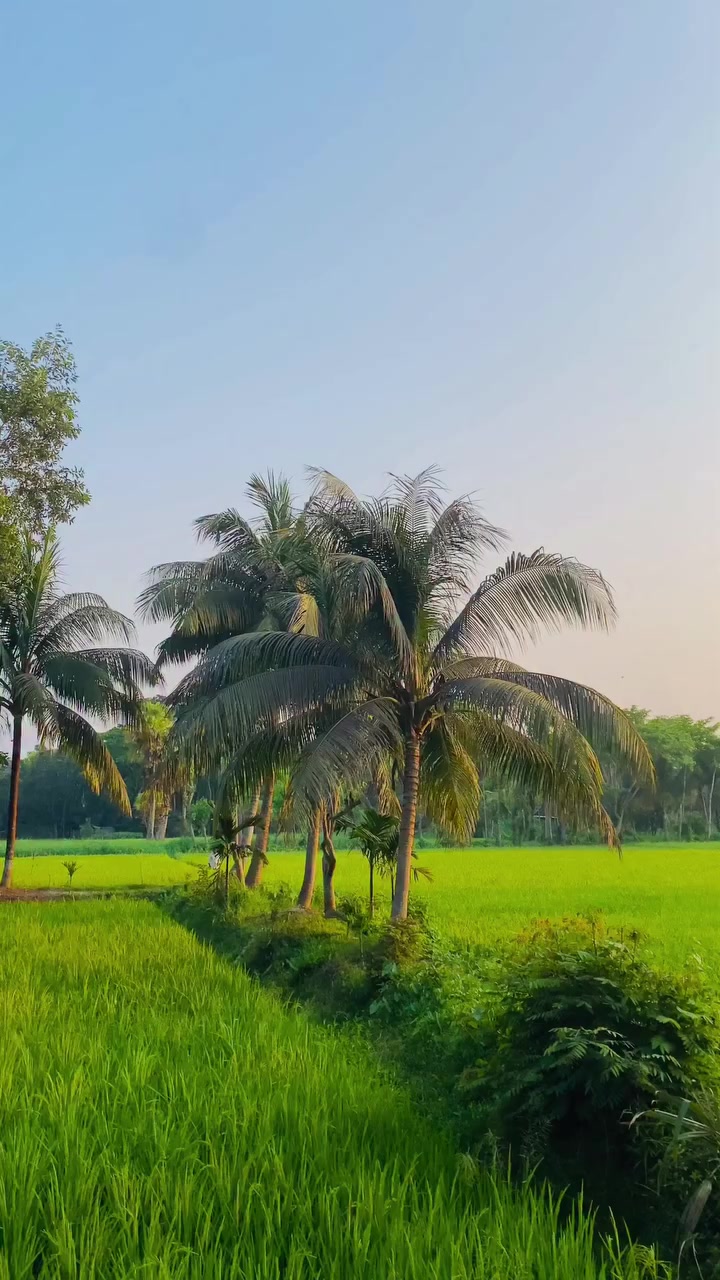 @𝑀𝒶𝒽𝒾𝓃🪄