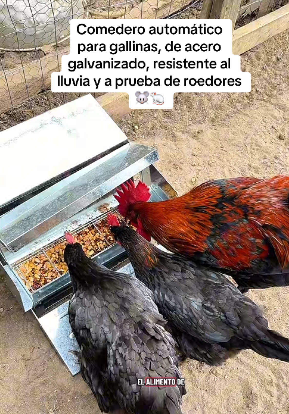 @andrycreates