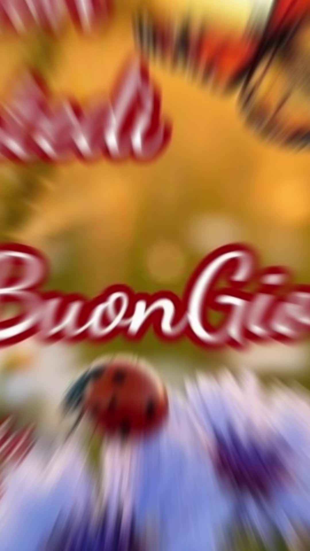 @user123456789