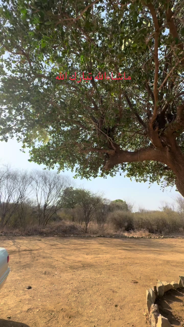 @حسين