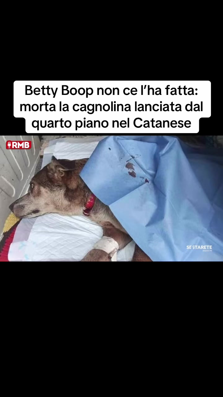 @Edoardo Picone | Giornalista