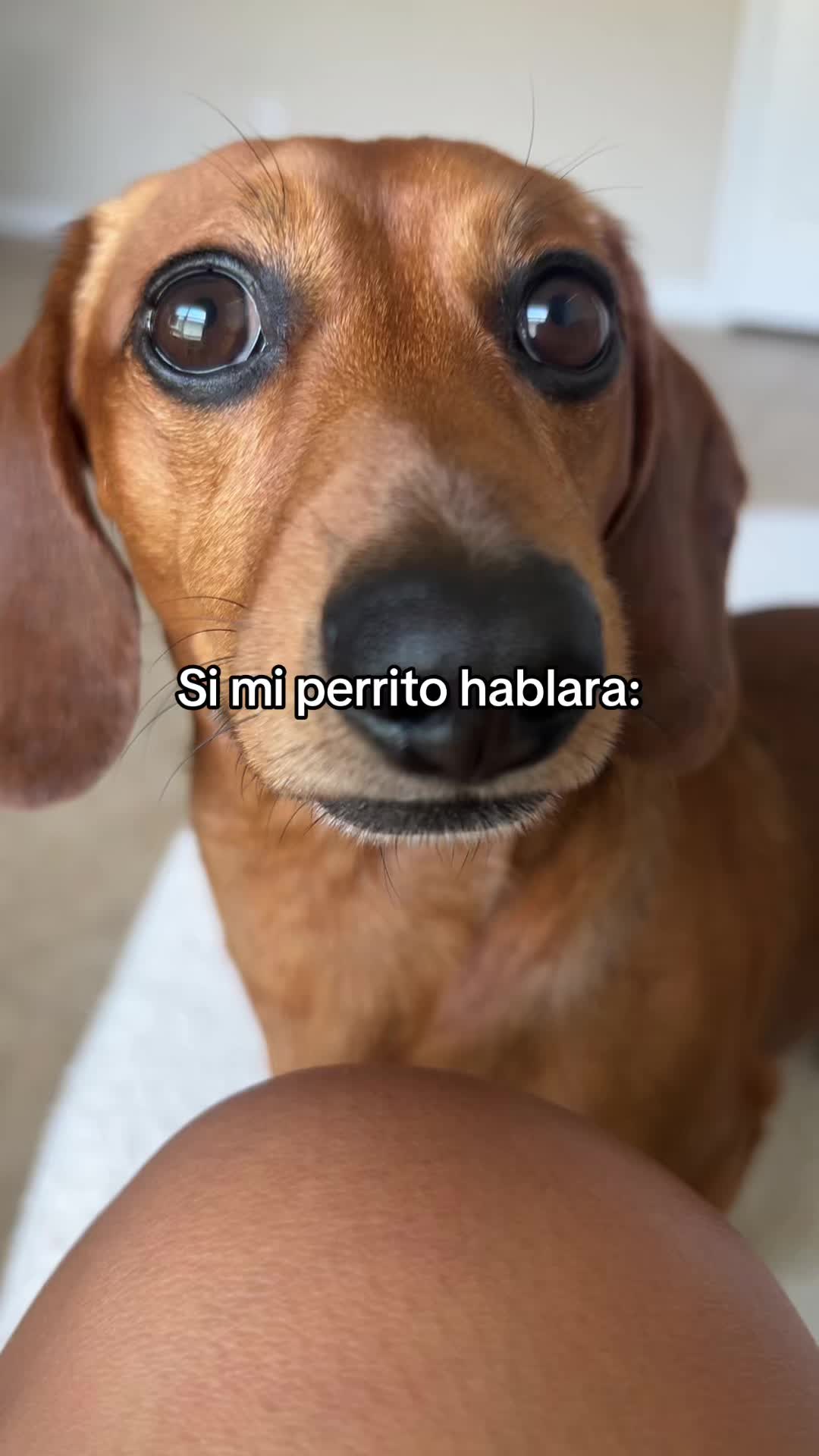 @Slinky Severus-Doo