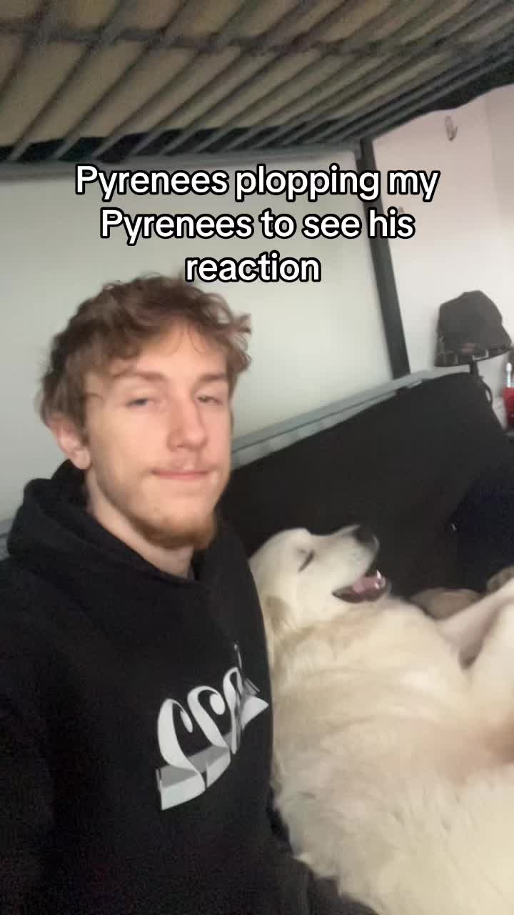 @Idkacactus
