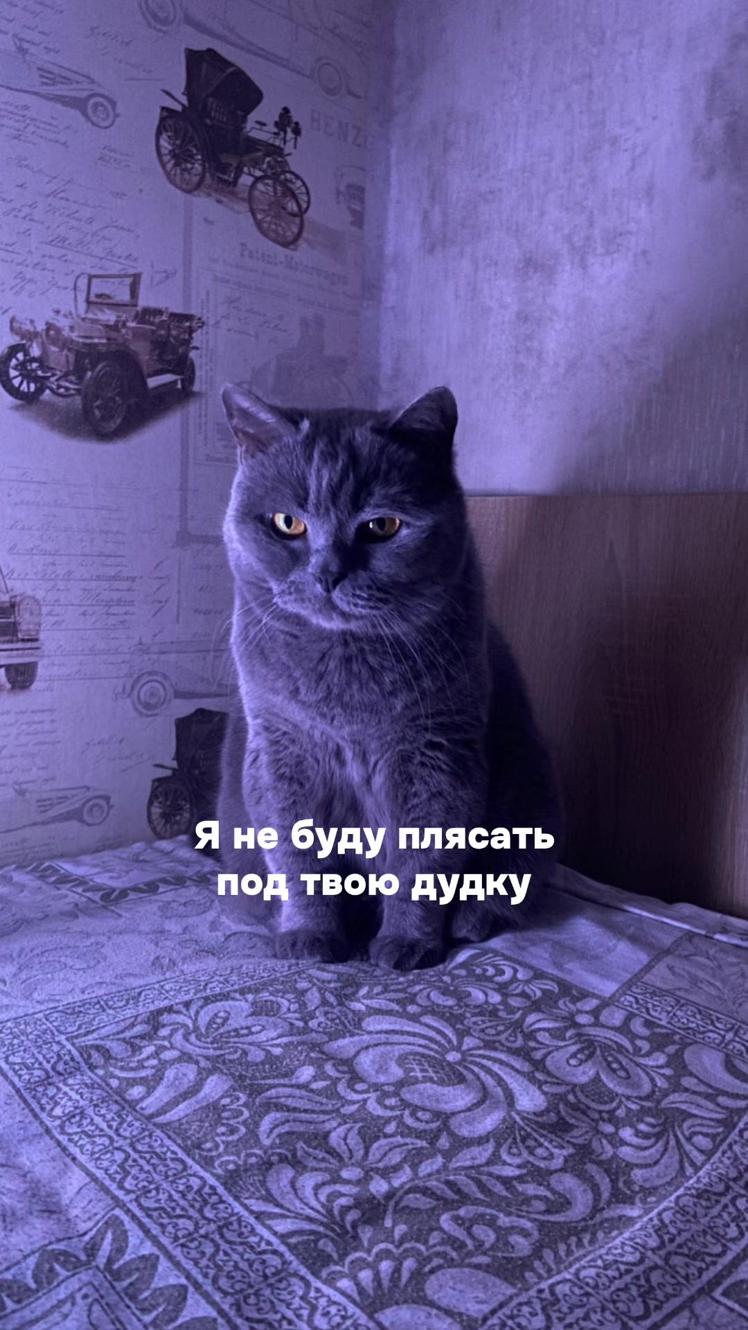 @Инна Плю́та