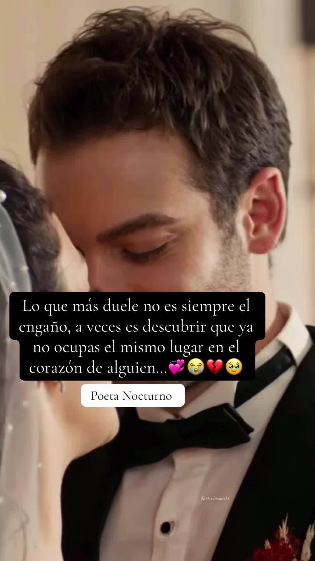 @Poeta Nocturno 503