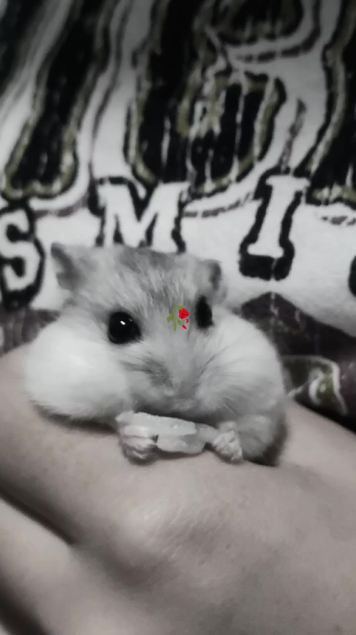 @MinSipjin