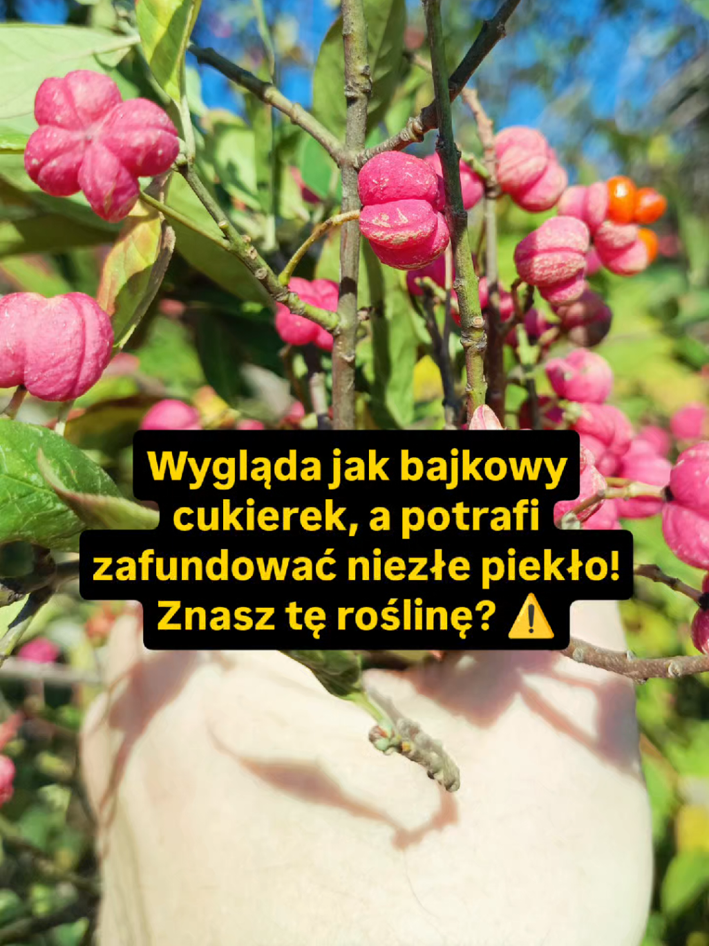 @Chwila Na Naturę🌿