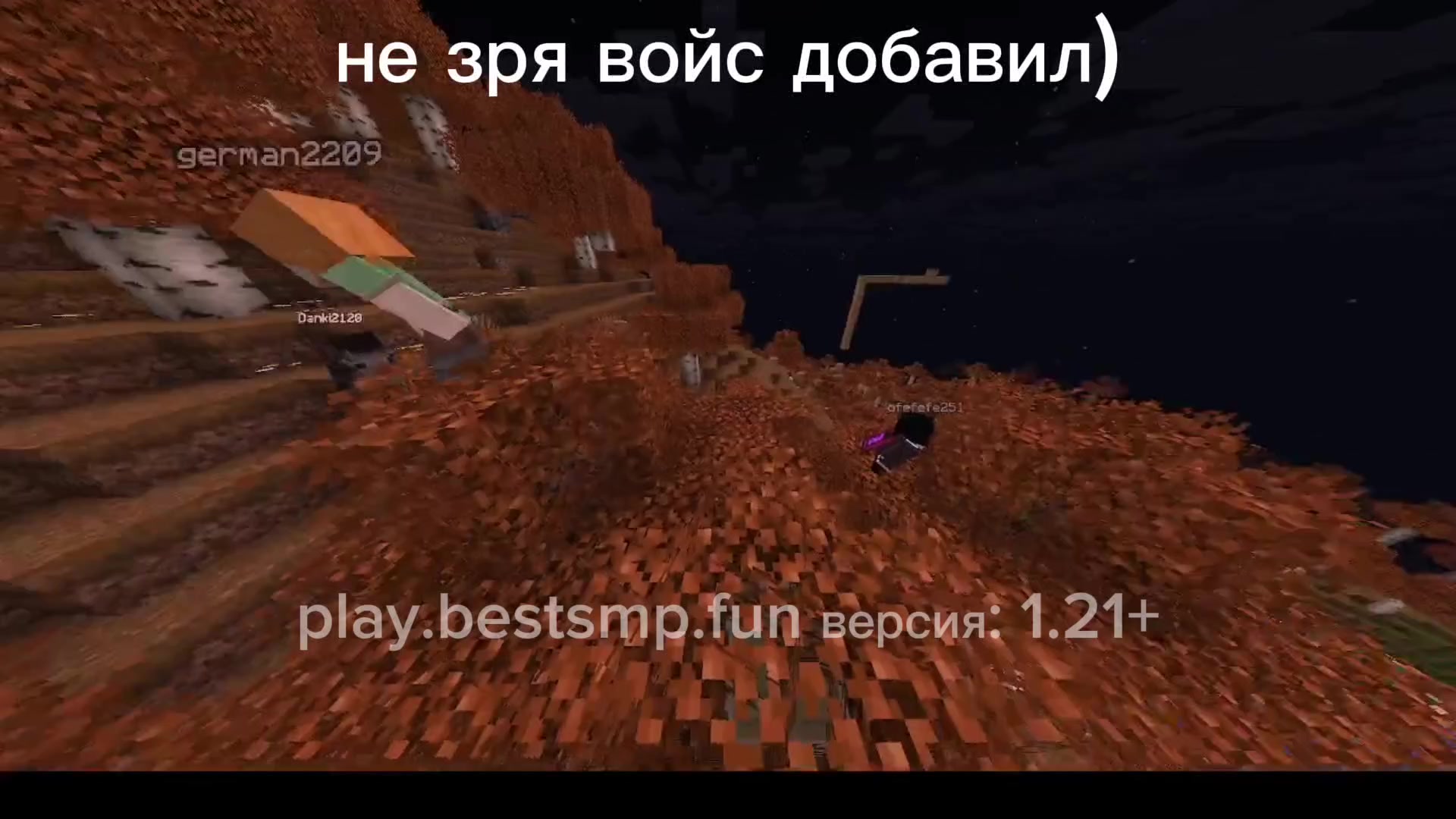 @zxccat_rw