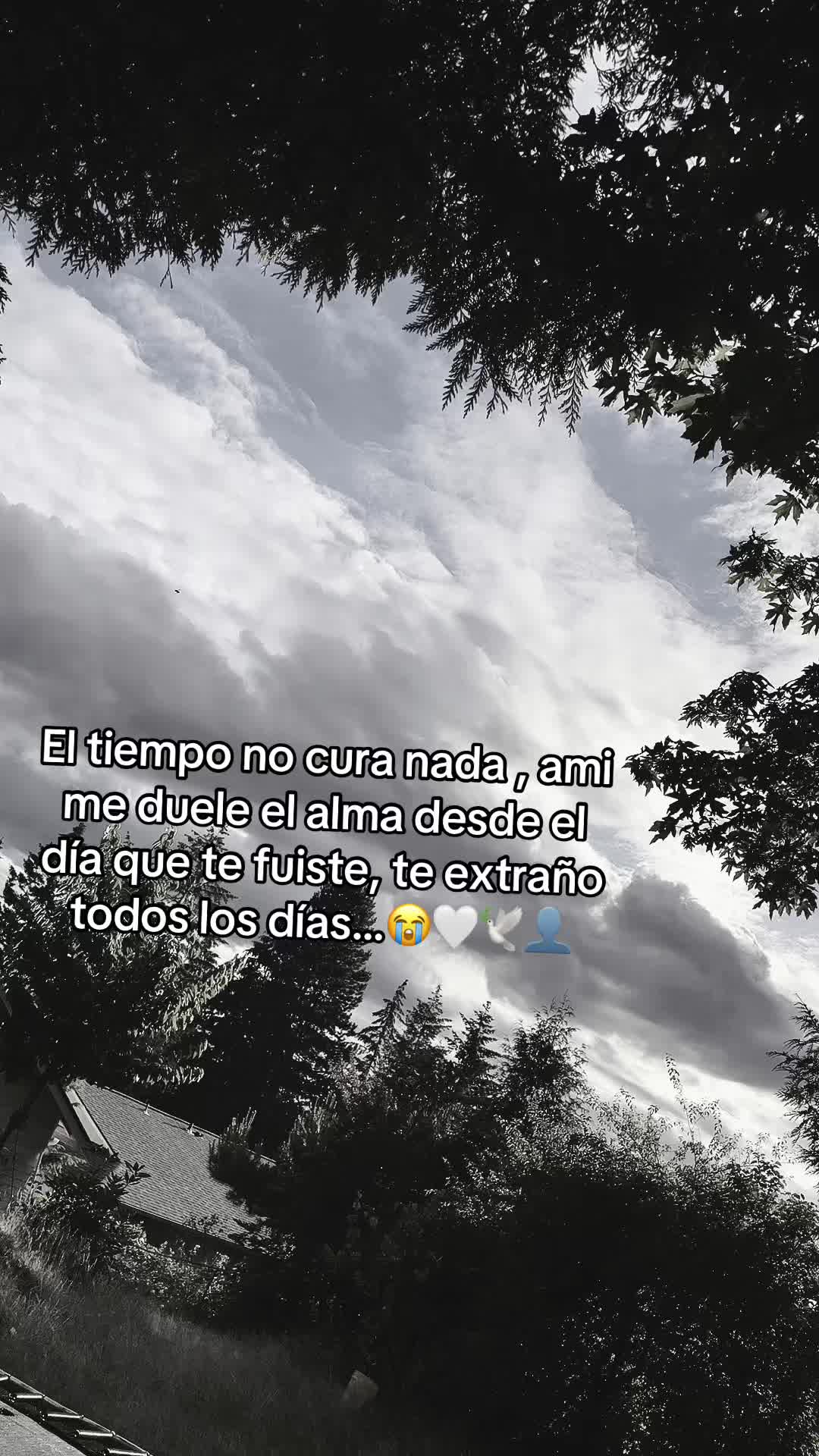 @Niky💔🥹🕊️