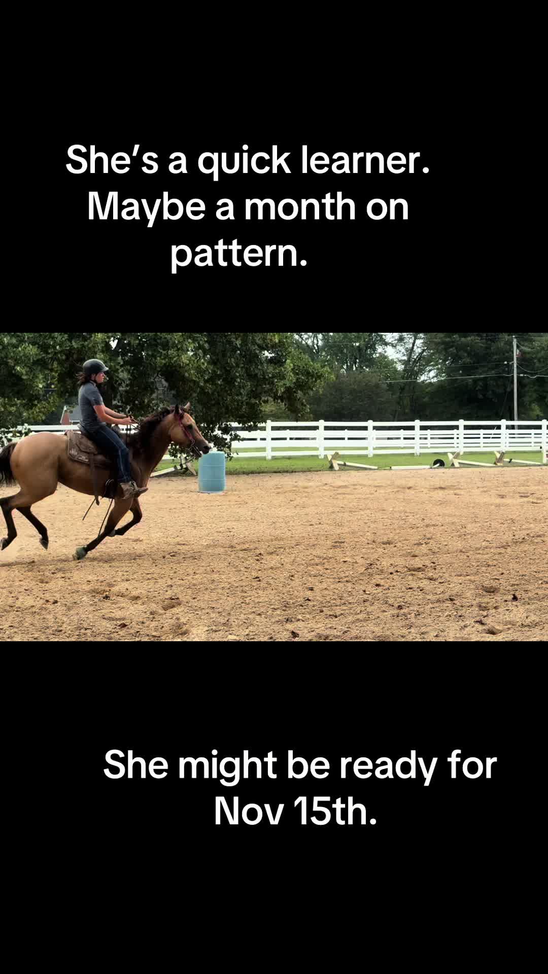 @Barrel racing dad