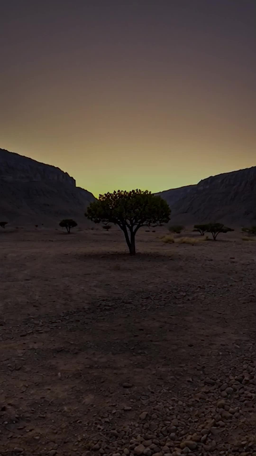 @jebelhafitdesertpark