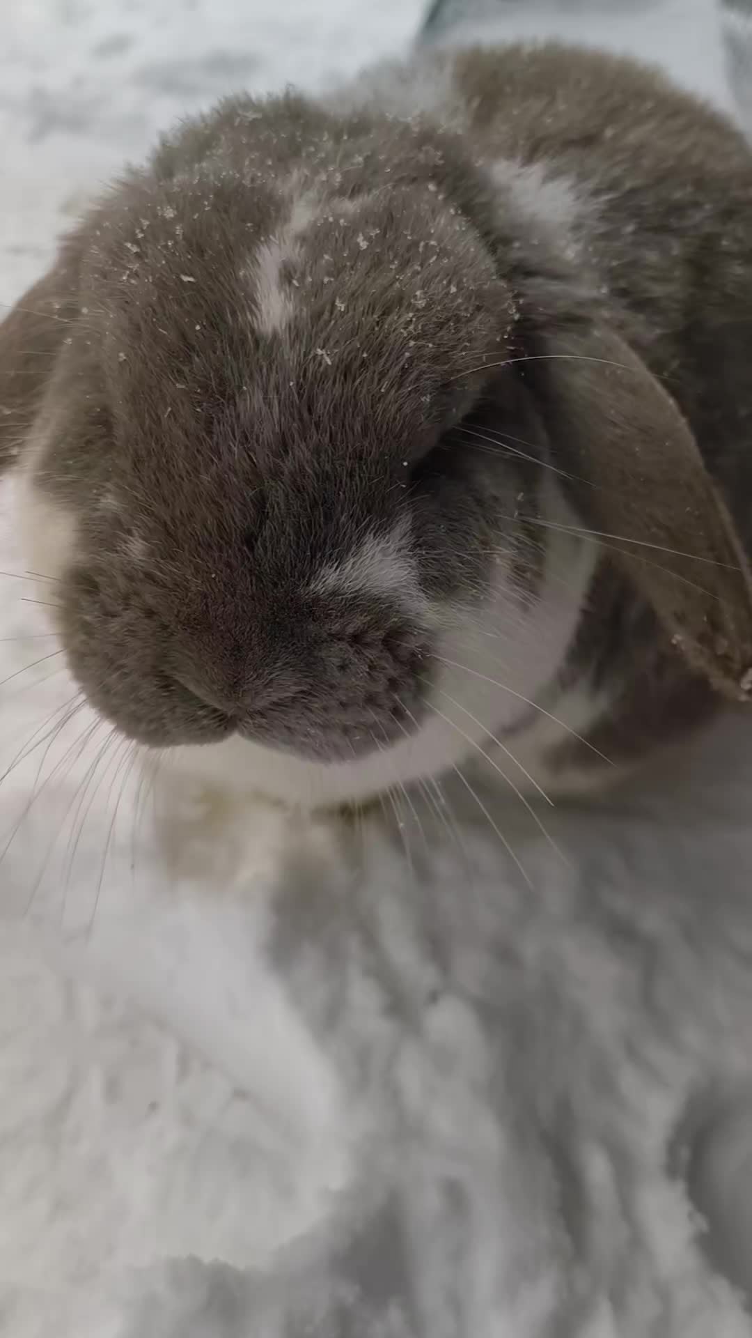 @𝙽𝚘𝚗𝚘❤︎
