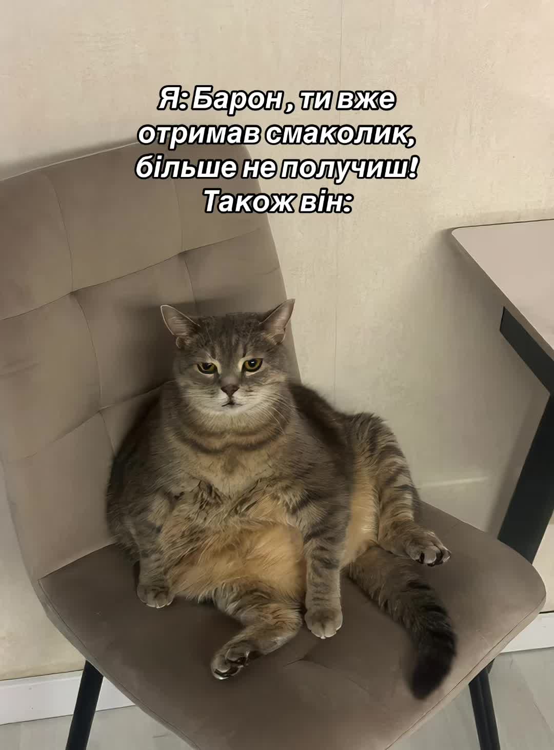 @Viktoria