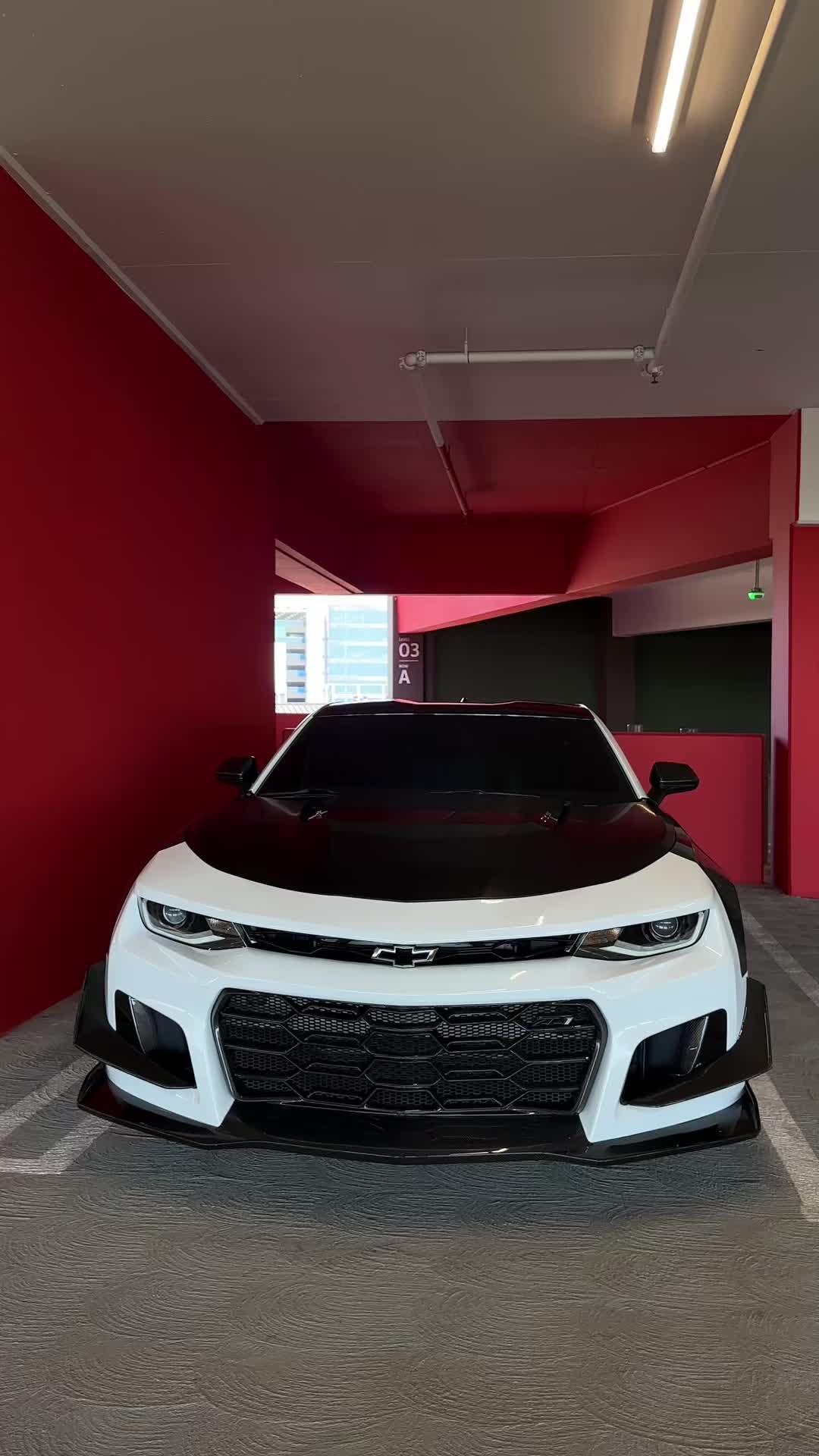 @SHHHZL1