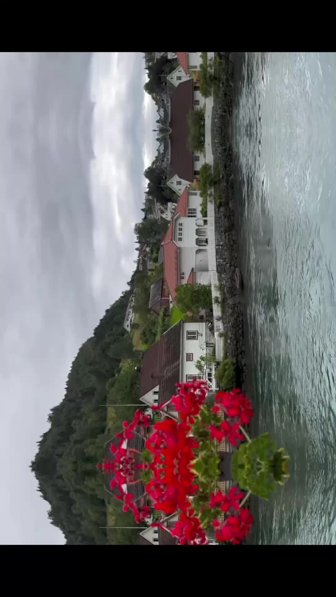 @وتستمر الحياة 🇩🇿🫀