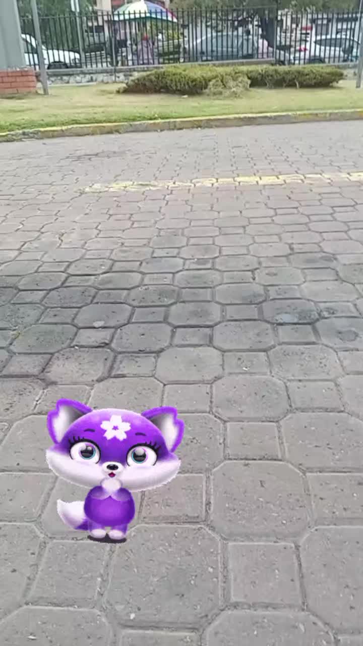 @Transito tenezaca