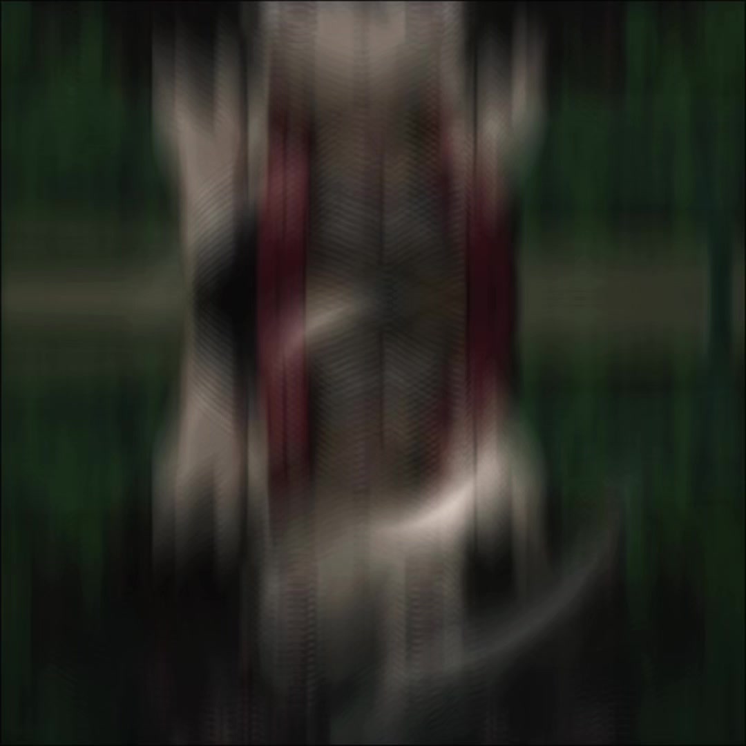@ᴏɢᴜʀɪ ᴄᴀᴘ🩶