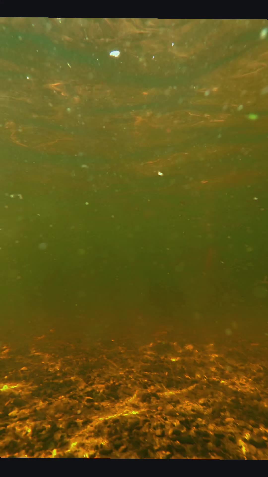 @Melmay5