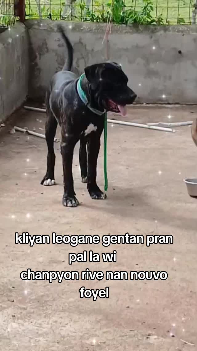 @Bendog