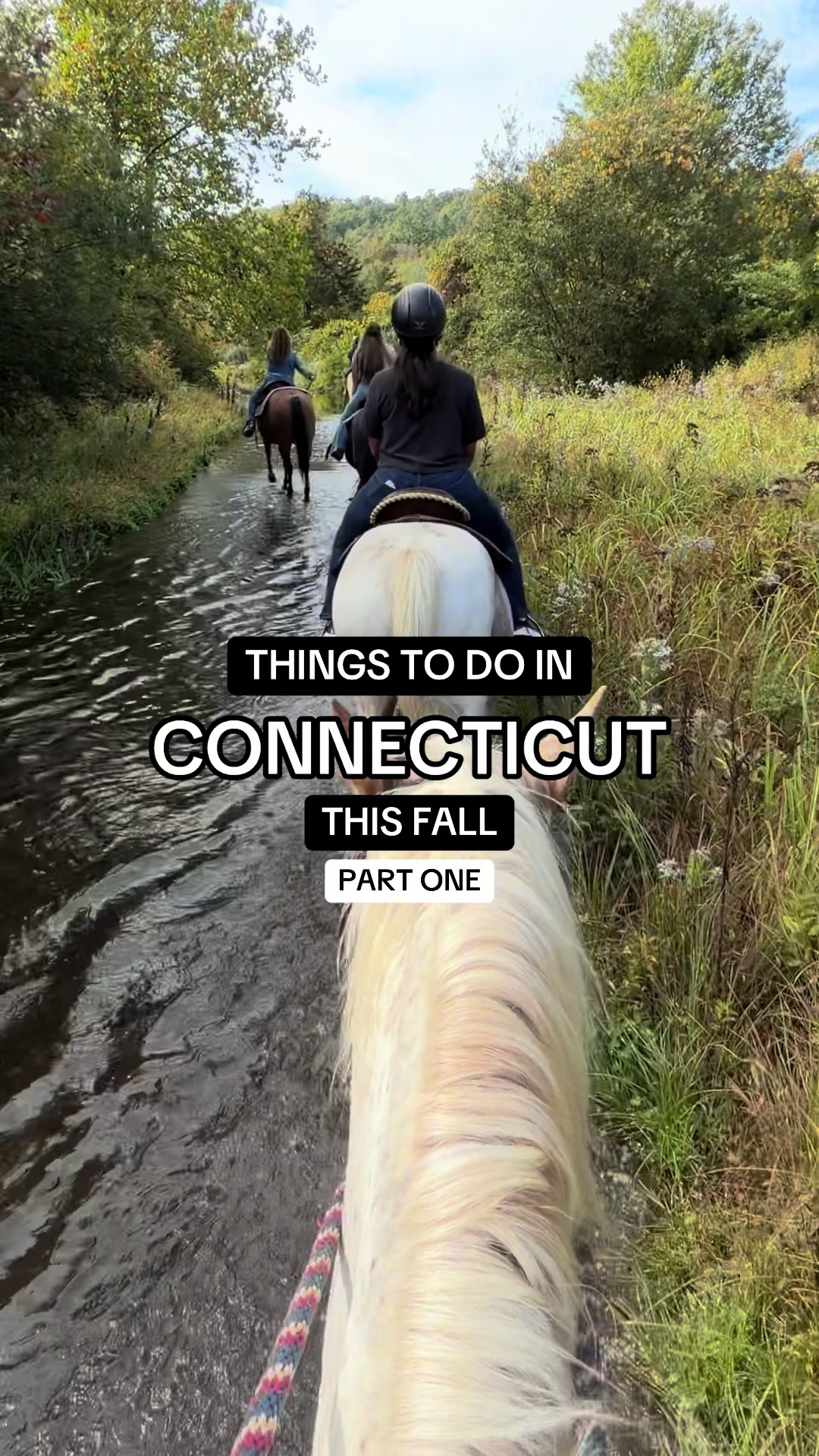 @tasteconnecticut