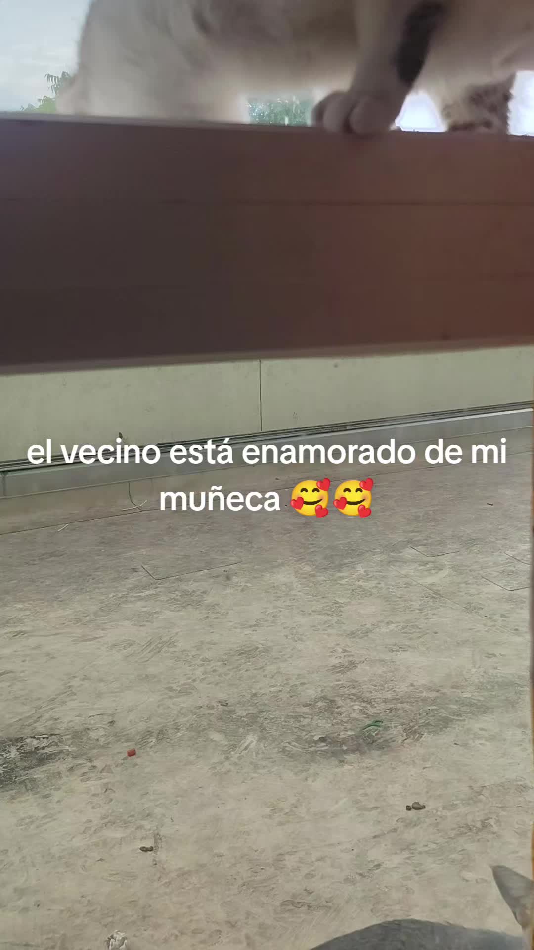 @Amor de dios