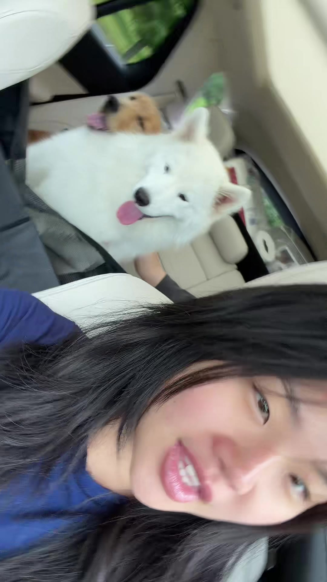 @notarlenelee