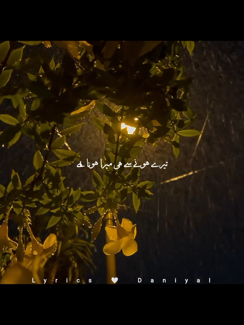 @Malik Daniyal