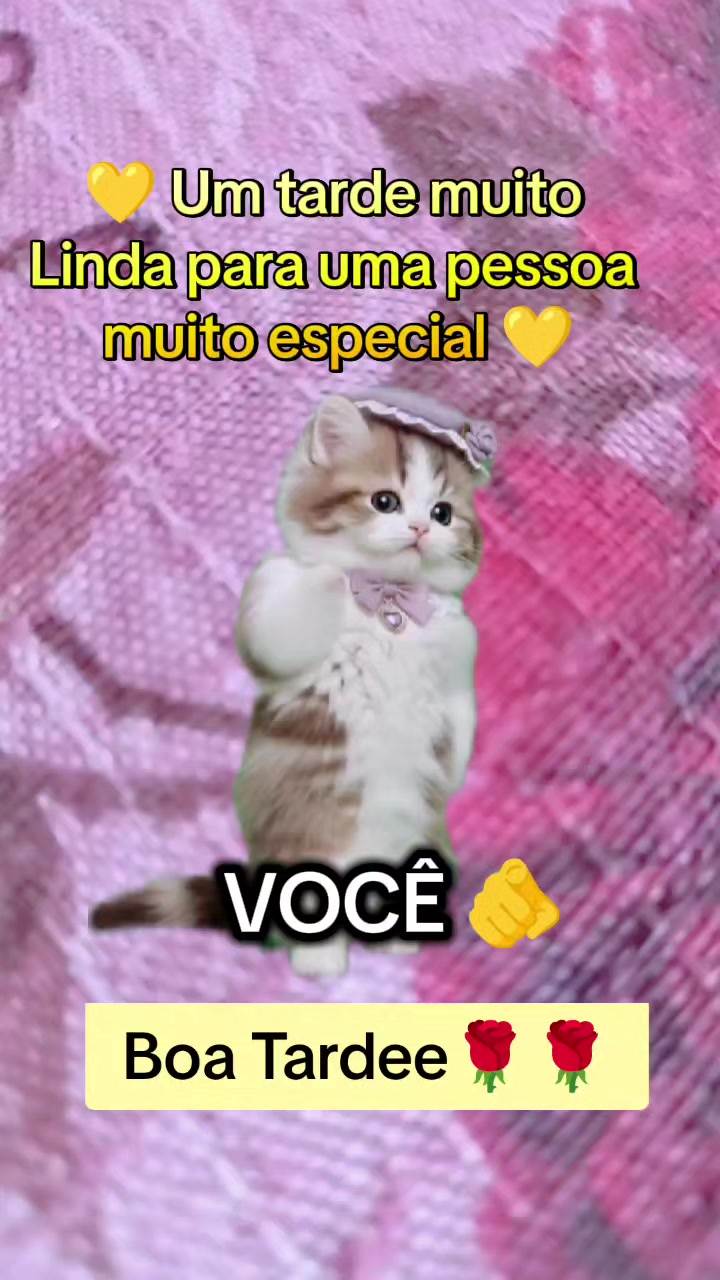 @girassol🌻
