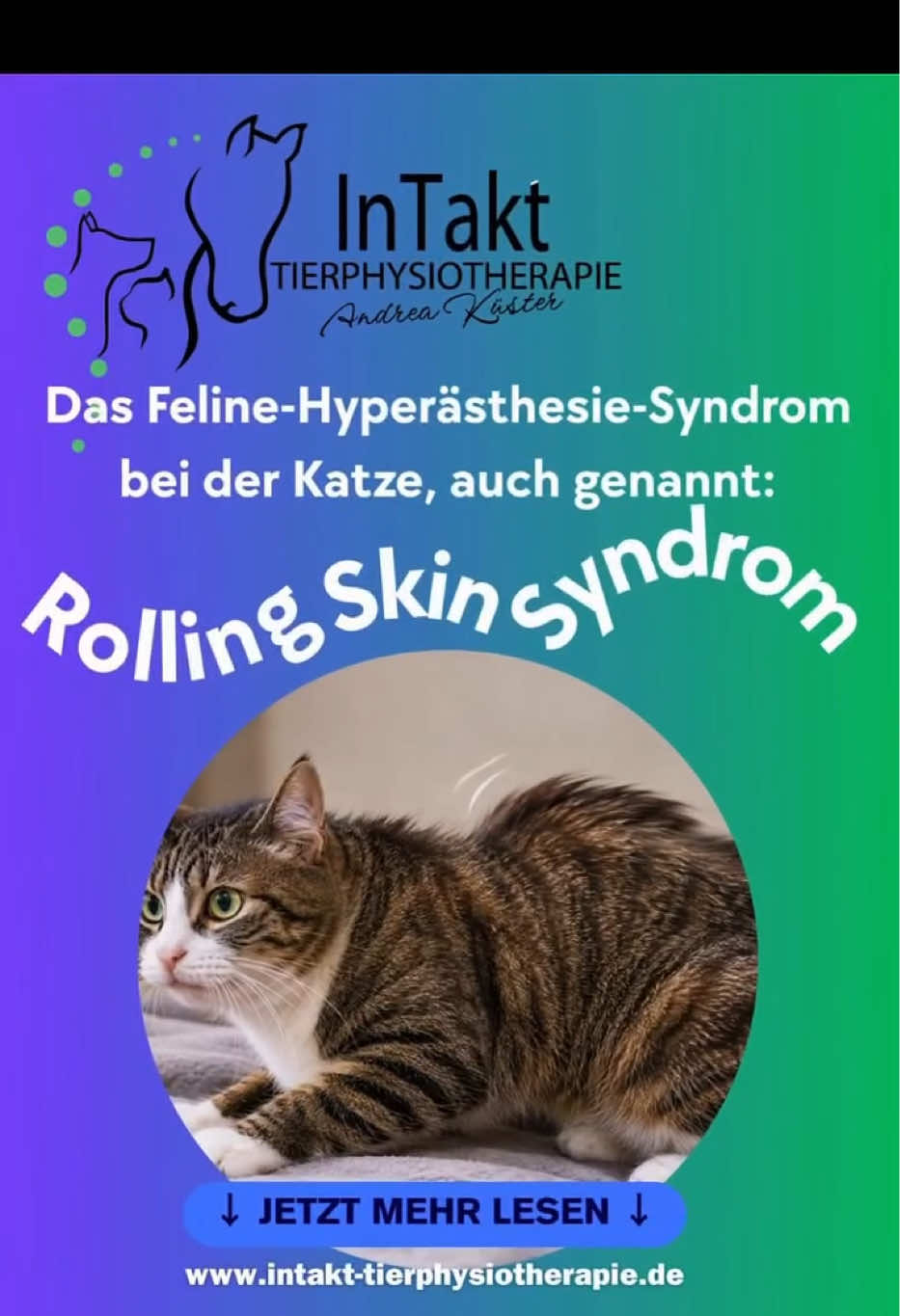 @Pferdephysiotherapie InTakt