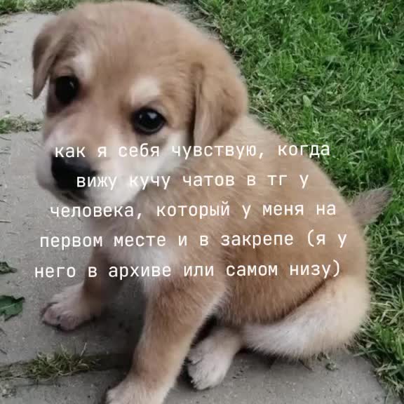 @.