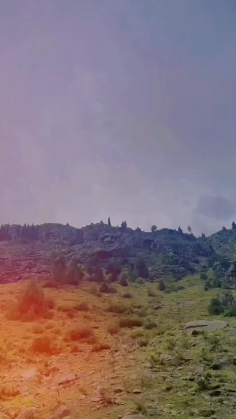 @Mr Chauhan 🔥✅