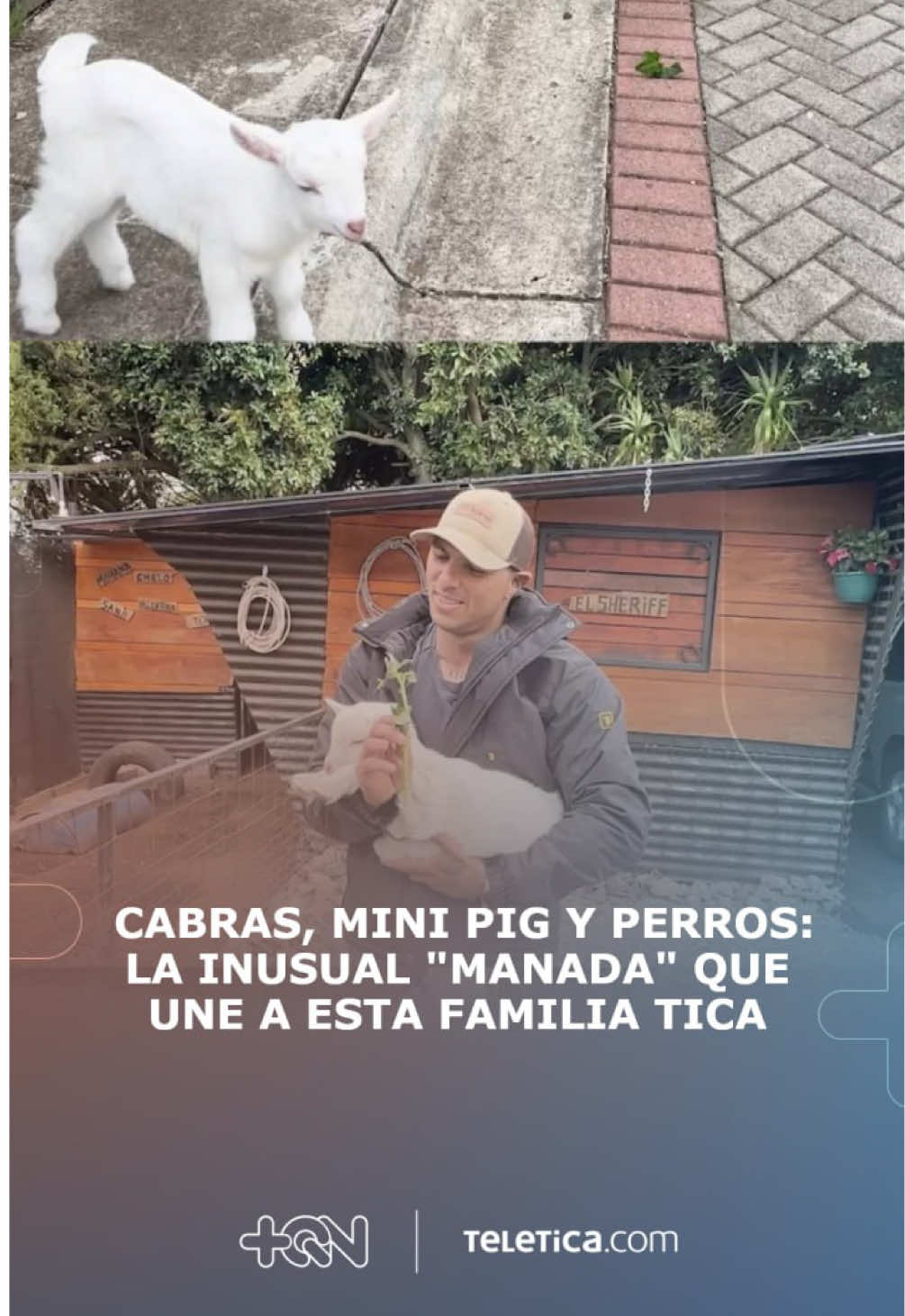 @Teletica