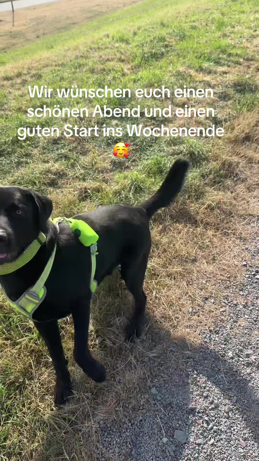 @Tanja
