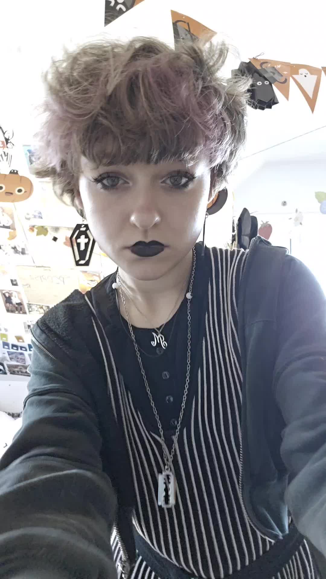 @hauru/harnaś =^._.^=