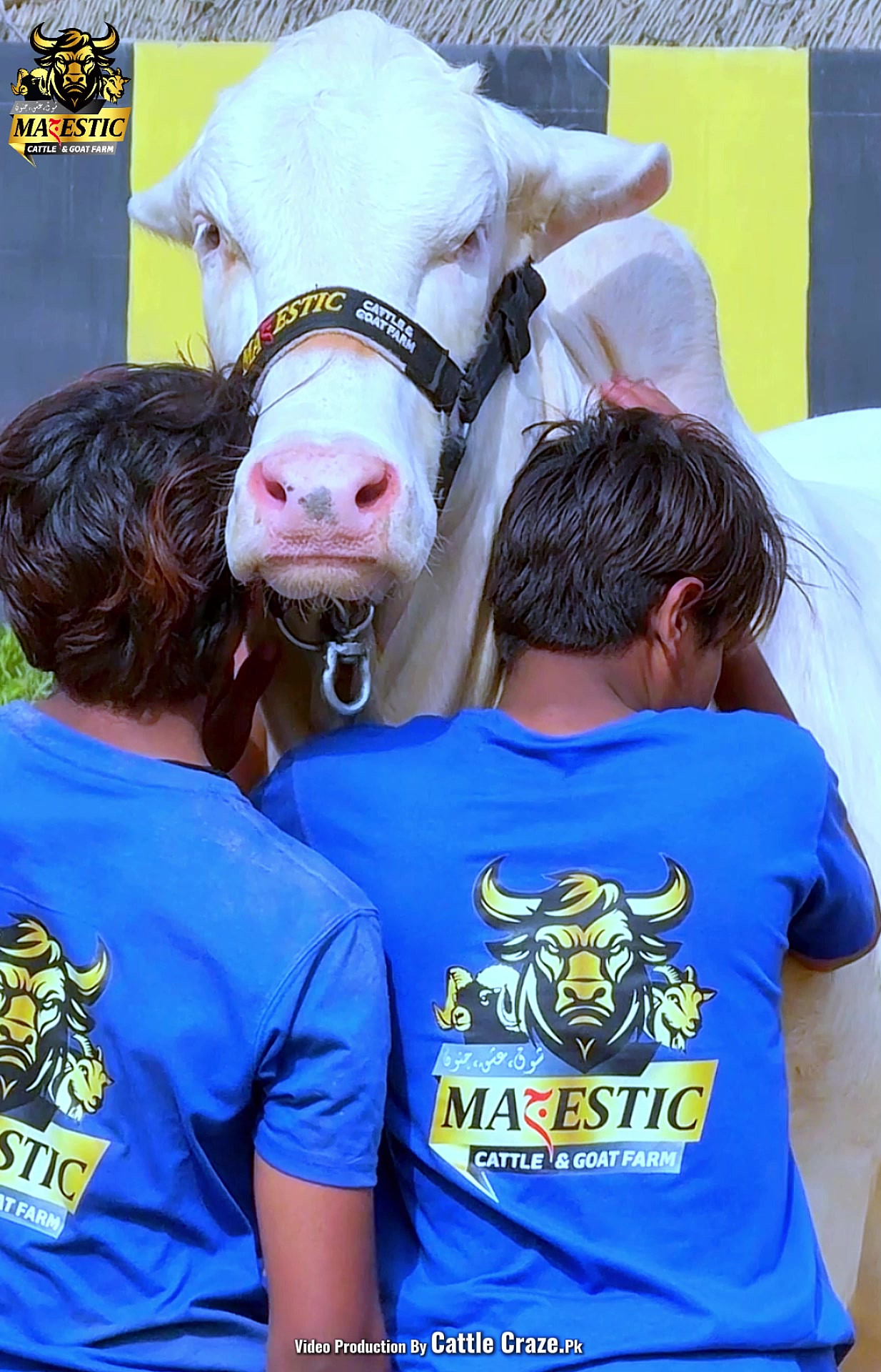@MAJESTIC CATTLE & GOAT FARM