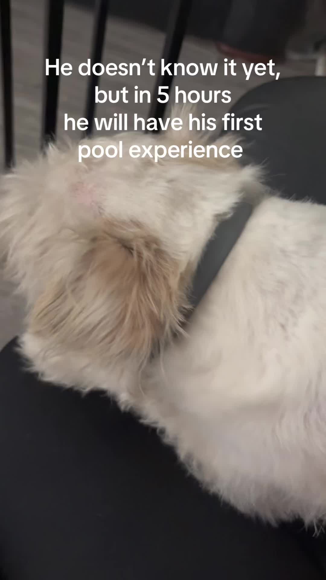 @boredbloo