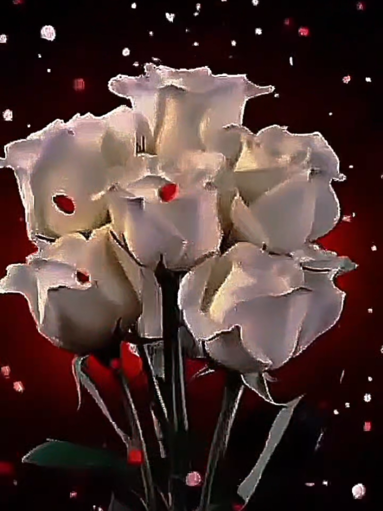 @꧁࿇♥𝓢𝓿𝓮𝓽𝓵𝓪𝓷𝓪꧁♥࿇꧂