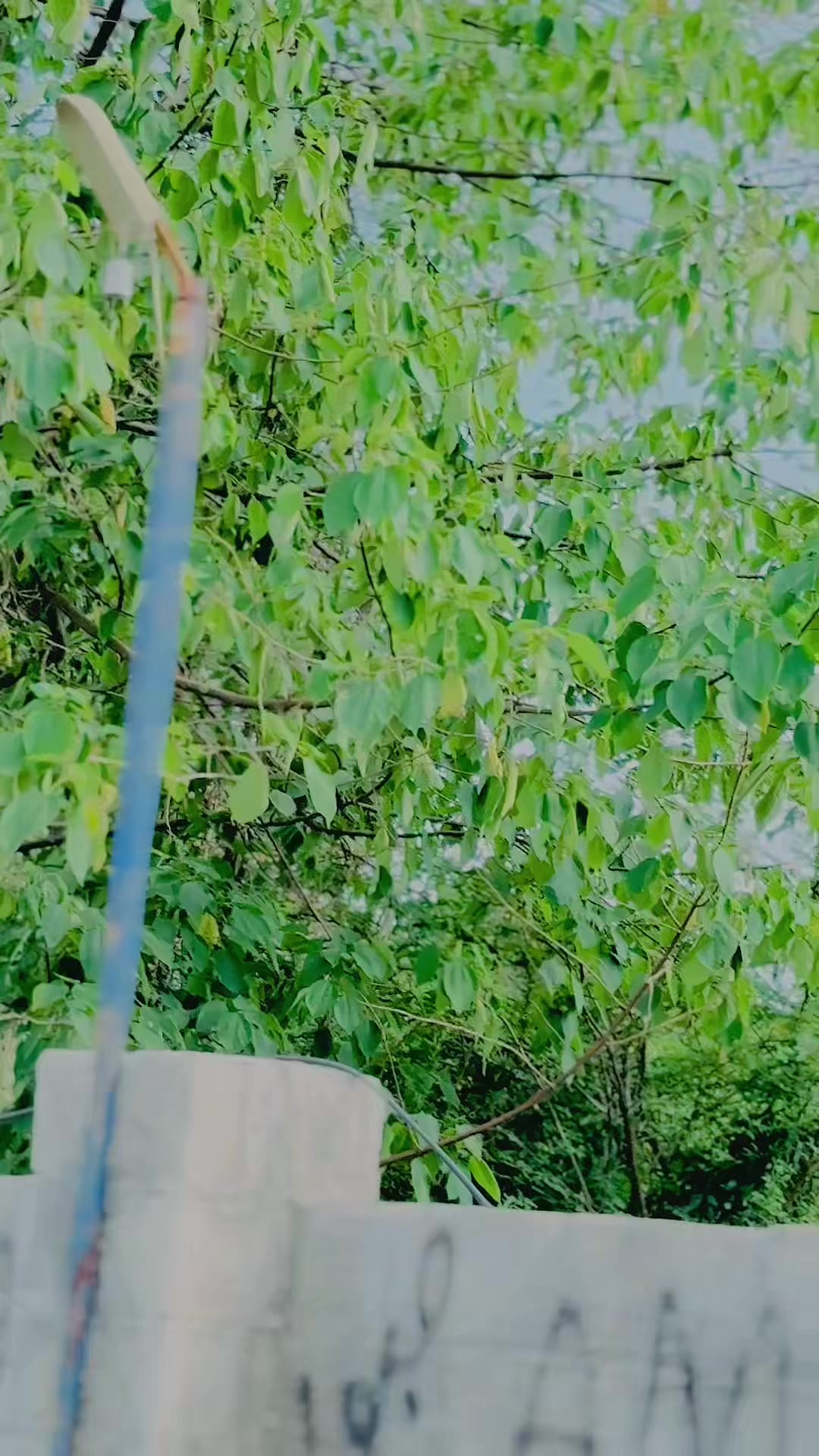 @عبداللہ جٹ 🚩