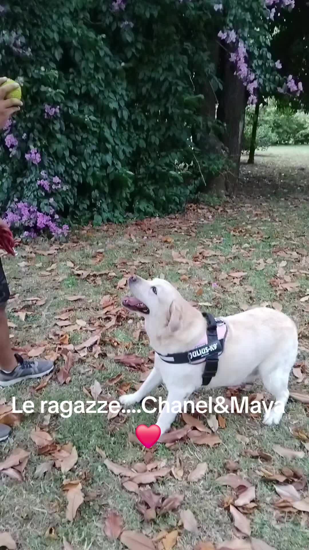 @Maria Liberti