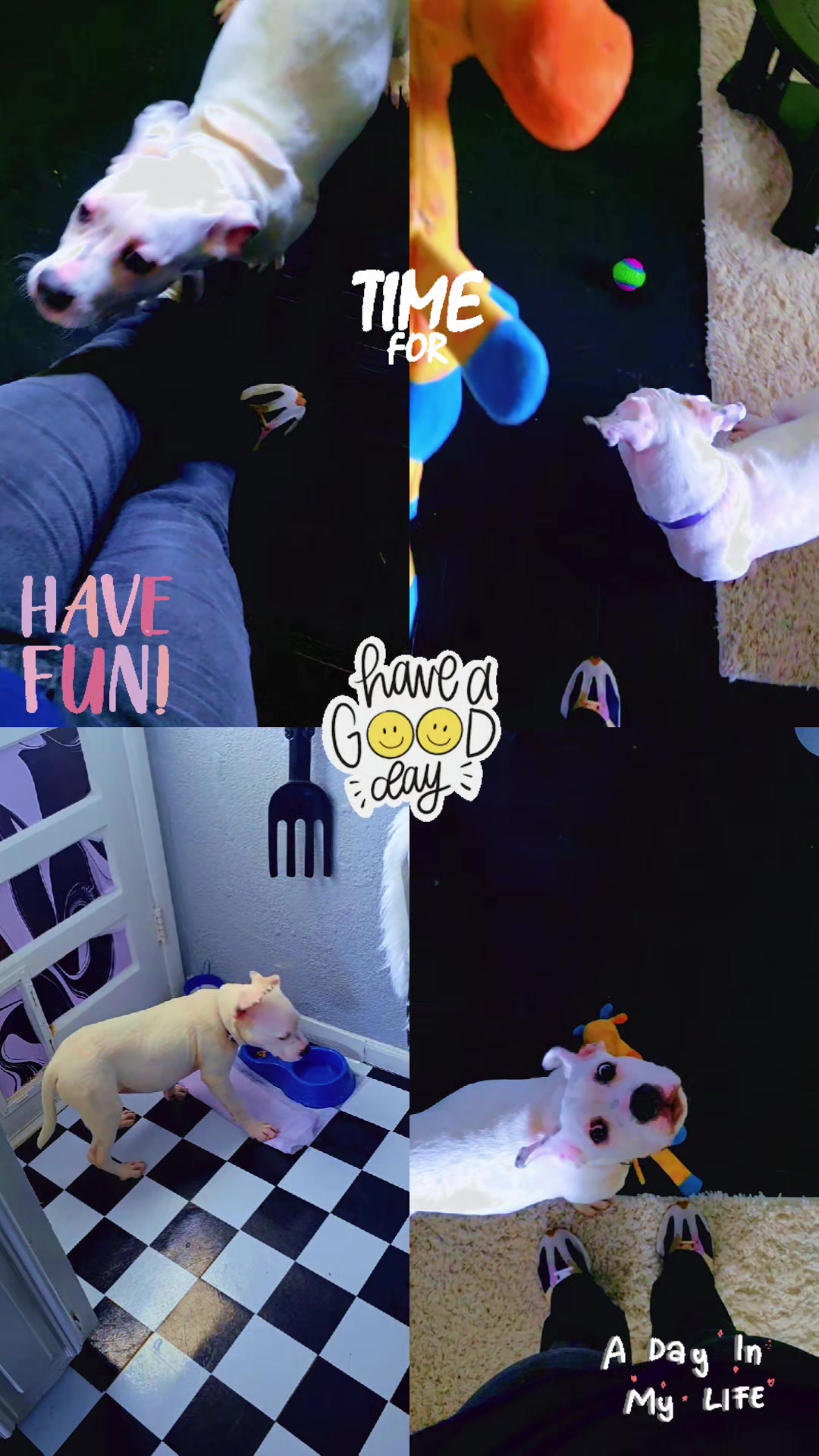 @CaramelSuga