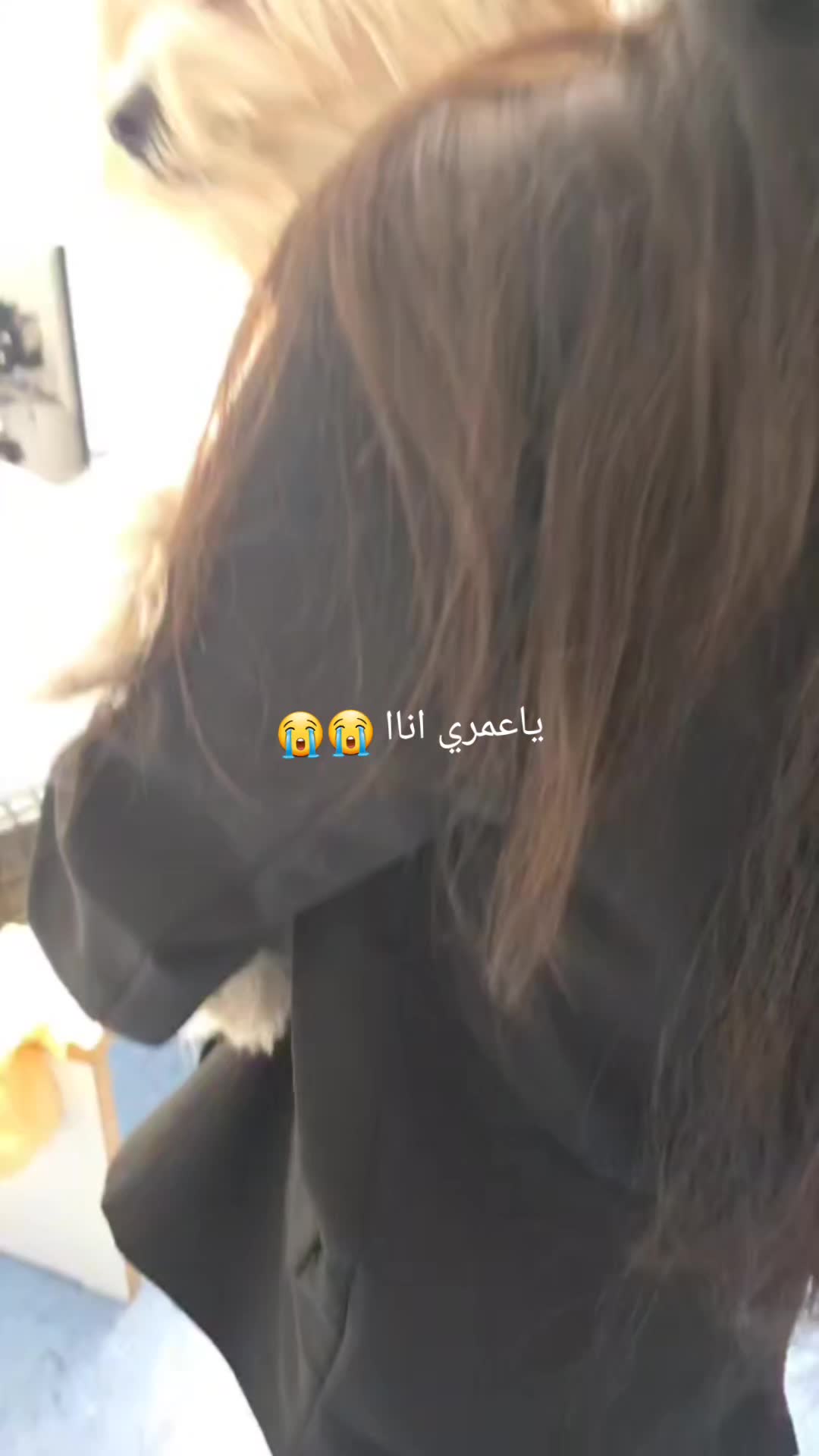 @ุฏุฎูู ๐ซกุงูุจุฑูุณูุณู๐ ุฃู
ููู ๐ต๐ธ