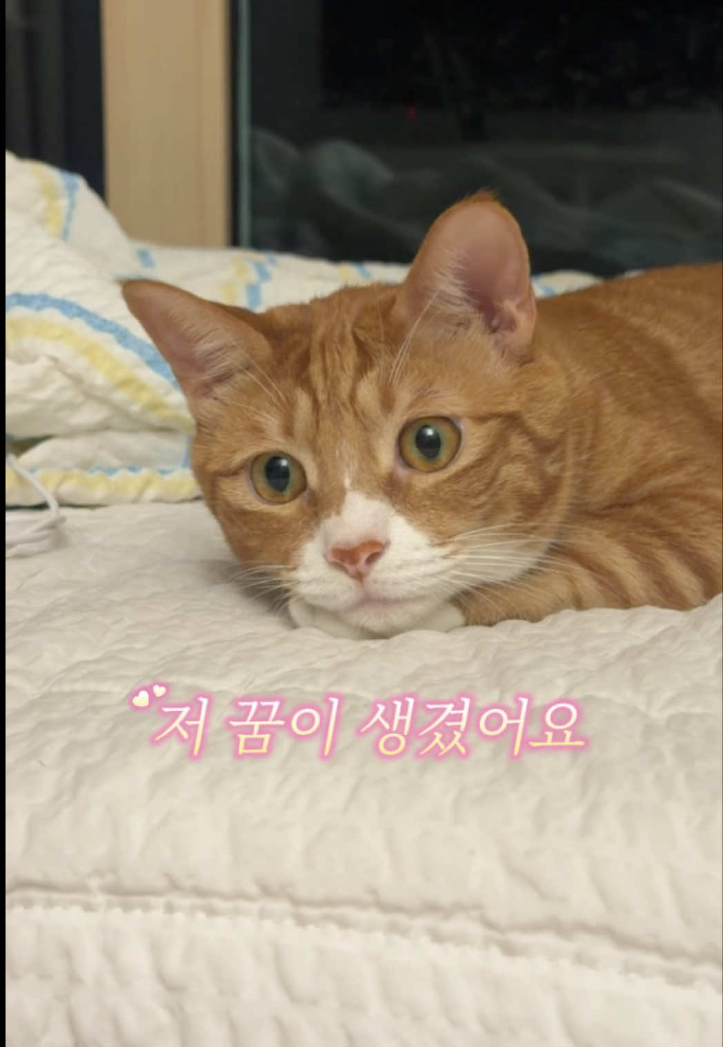 @뮤춘삼