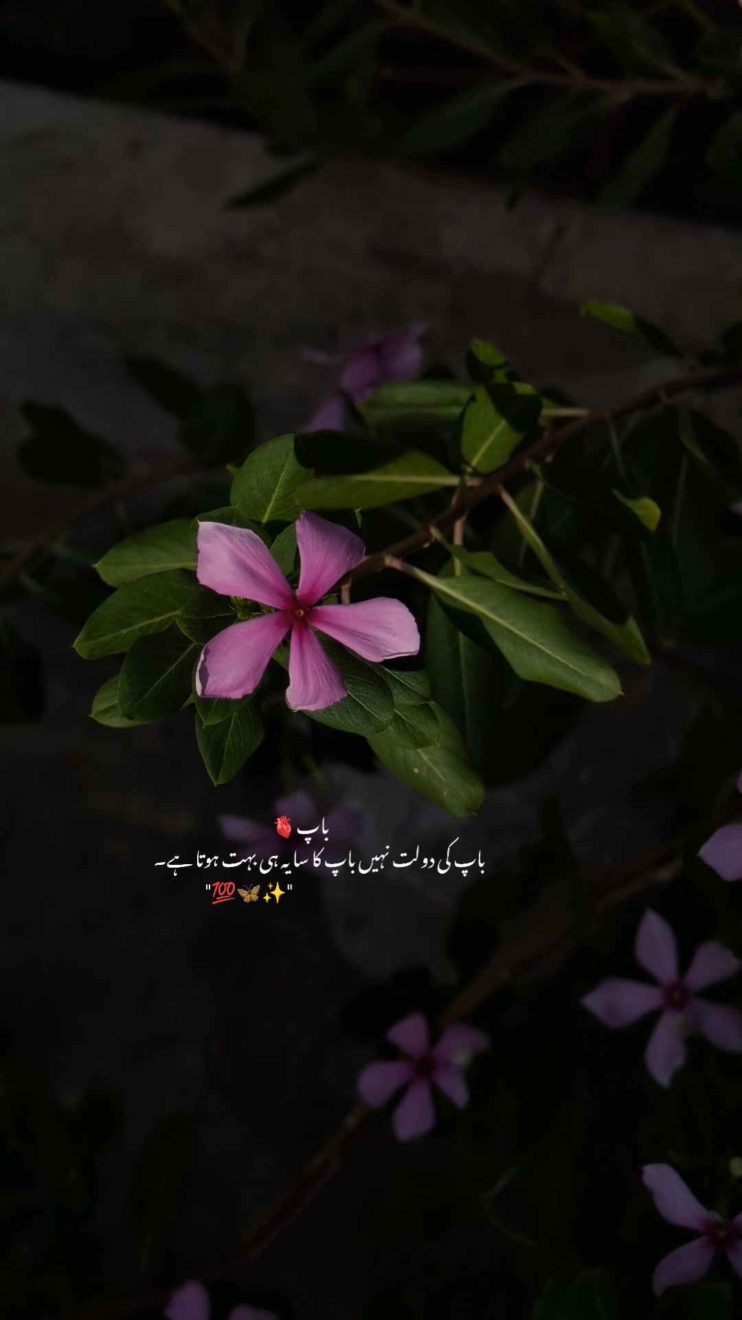 @ــــہہـ٨ــ&hearts;️ـــہہـ٨ـ