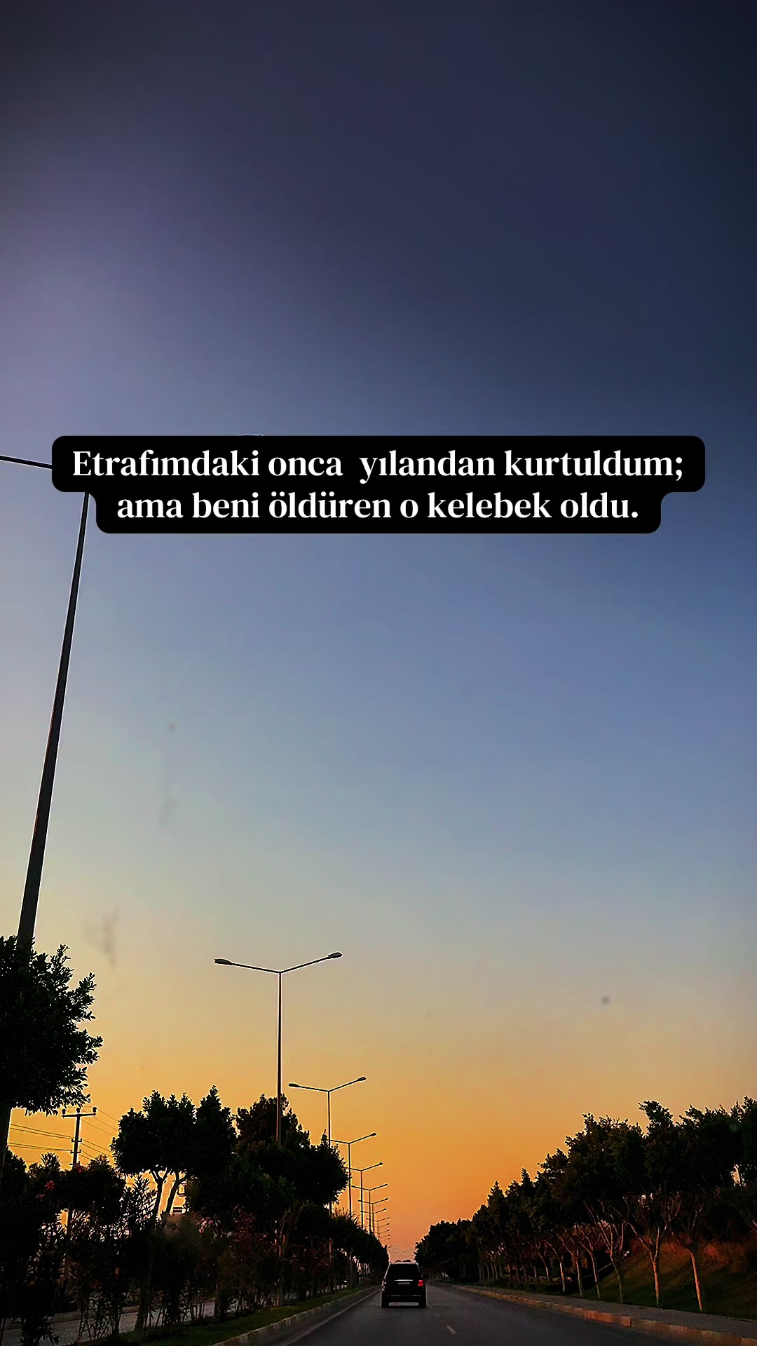 @Sabine Ostowski