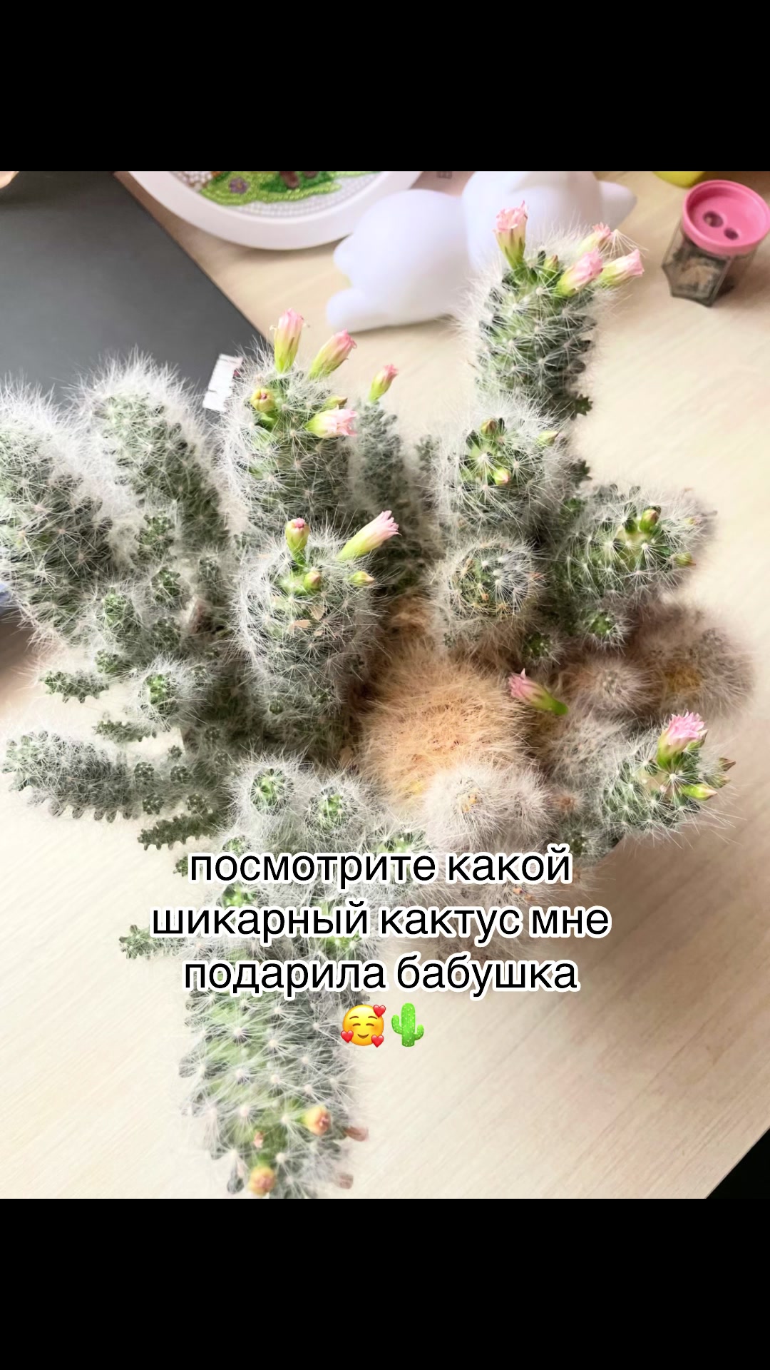 @lirika